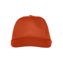 Texas Cap